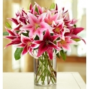 online lilies vase to philippines