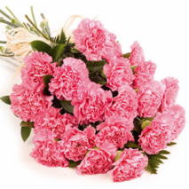 12 pink carnations Send To Philippines