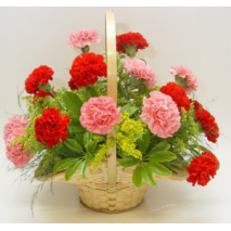 Carnations Delight Send To Philippines