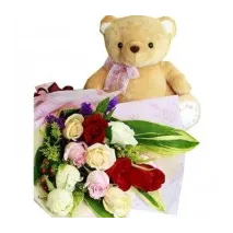 12 Mixed Roses & Teddy Bear Delivery To Philippines