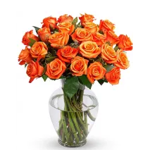 24 Orange Roses Send To Philippines