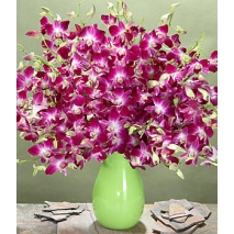2 dozen Purple Dendrobium Orchids Send To Philippines