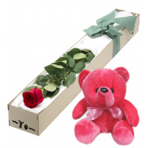 Single Red Rose in Box with Red Bear Send To Philippines