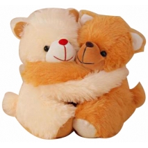 send twins huggable bear philippines