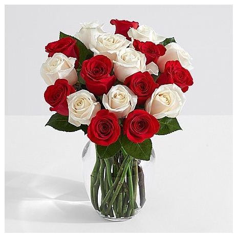 24 Candy Cane Roses