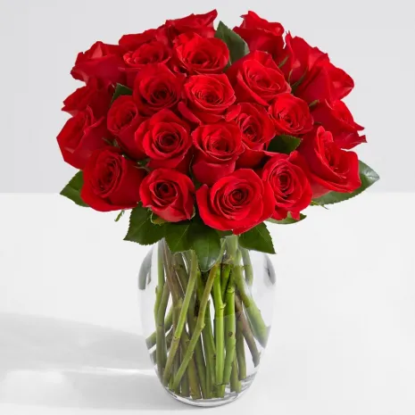 send 24 red roses vase in philippines