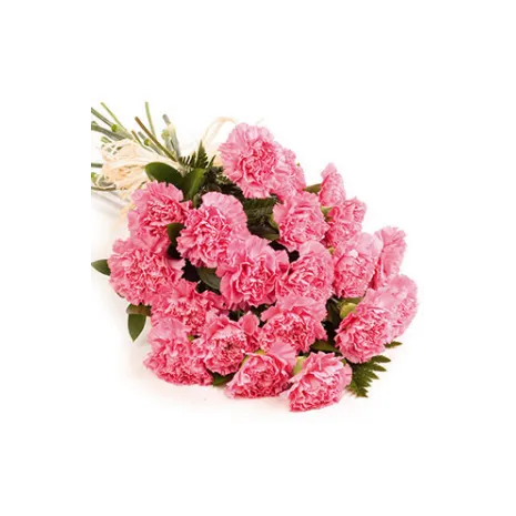 12 pink carnations Send To Philippines