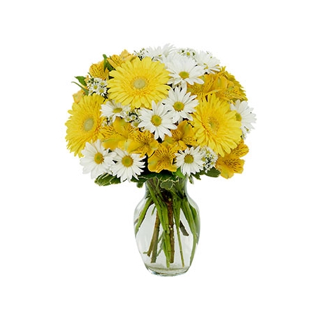 Daisy a Day Bouquet Send To Philippines
