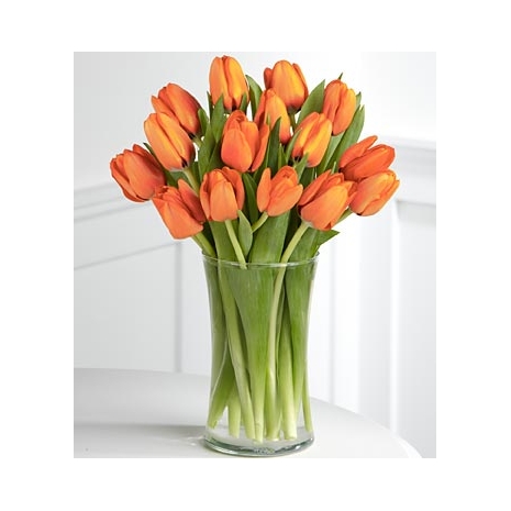 15 Orange Tulips Send To Philippines