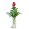 1 Red Roses in Vase with Greenery