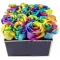 send 16 pcs rainbow roses in bouquet to philippines